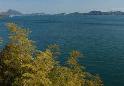 201101221444-DSC03301.jpg