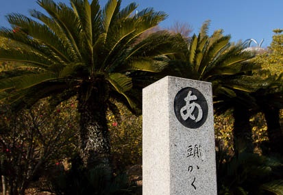 201101221445-DSC03302.jpg