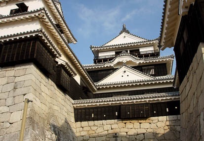 201101230908-DSC03531.jpg