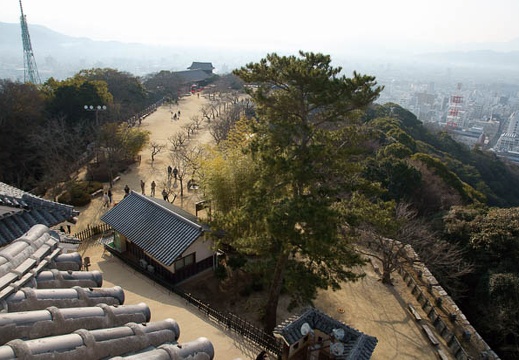 201101230919-DSC03545.jpg