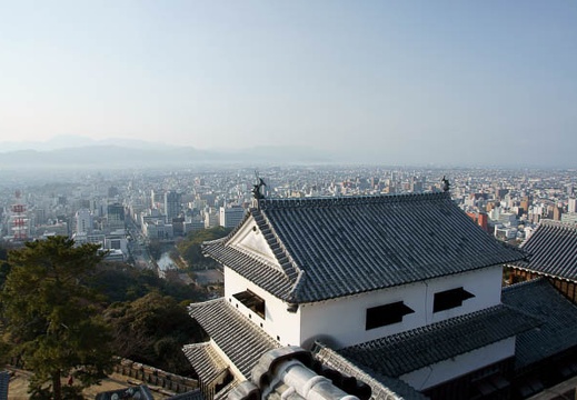 201101230924-DSC03554.jpg