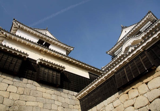 201101230946-DSC03604.jpg