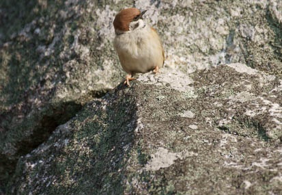 201101231025-DSC03653.jpg