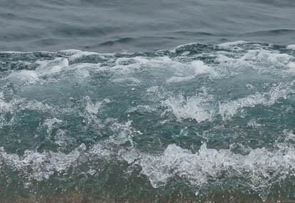 201101231410-DSC03703.jpg