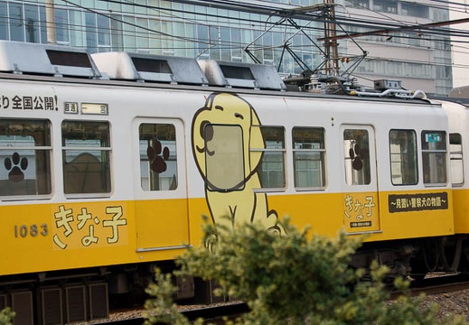 201101240916-DSC04153.jpg
