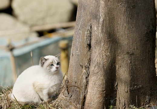 201101271337-DSC05730.jpg