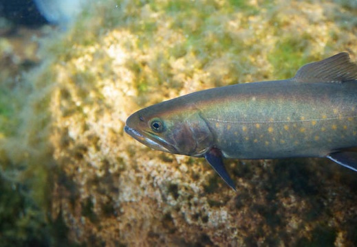 201101271441-DSC05847.jpg
