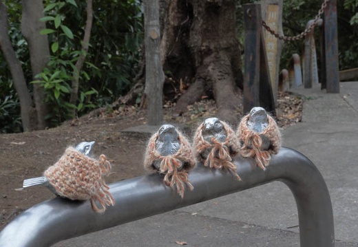 201102021519-DSC00127.jpg