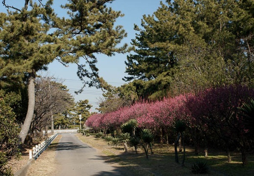 201102031331-DSC00177.jpg