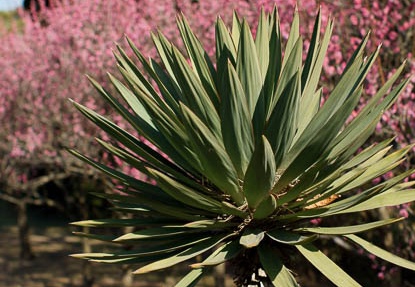 201102031333-DSC00183.jpg