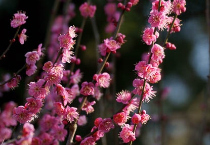201102031344-DSC00212.jpg