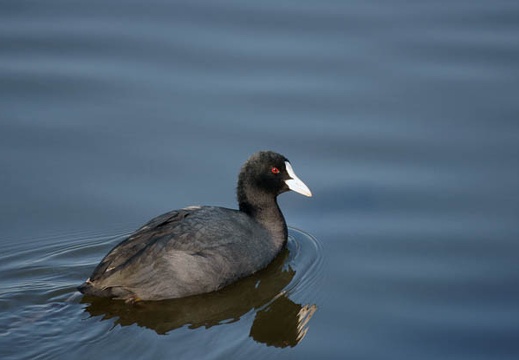 201102031422-DSC00320.jpg