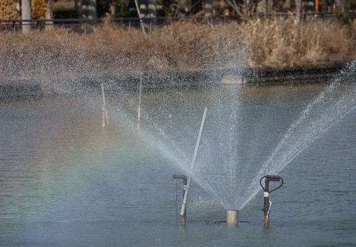 201102071144-DSC00464.jpg