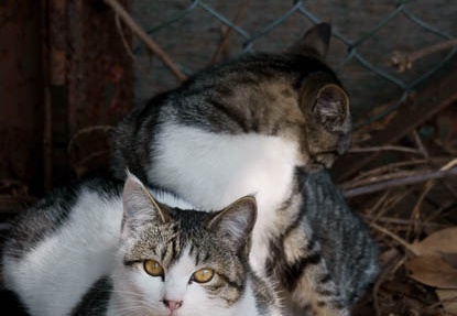 201102071208-DSC00493.jpg