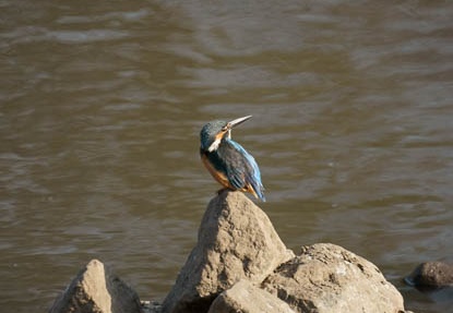 201102071502-DSC00671.jpg