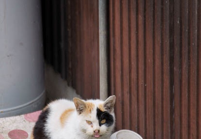 201102081128-DSC00735.jpg