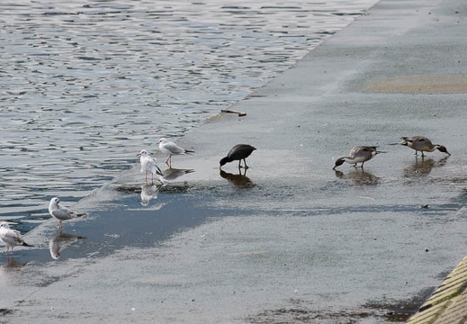 201102081215-DSC00813.jpg