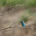 201102081353-DSC00979.jpg