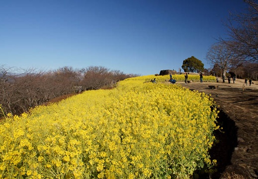 201102130916-DSC07331.jpg