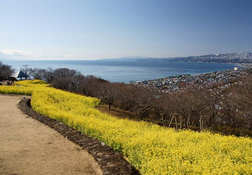 201102130934-DSC07378.jpg