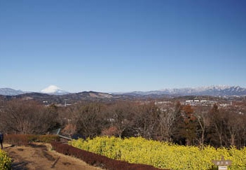 201102130937-DSC07387.jpg