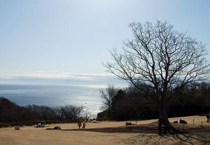 201102130938-DSC07389.jpg