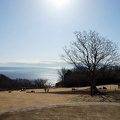 201102130938-DSC07389.jpg