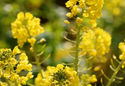 201102131029-DSC07493.jpg