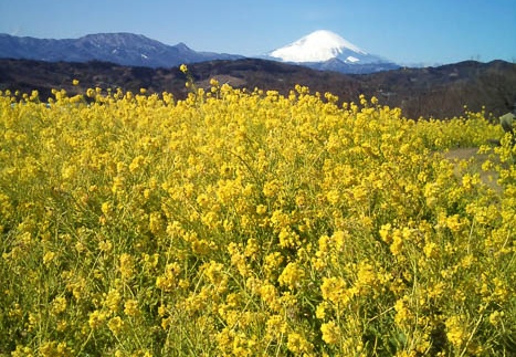 20110213105425-SO-01B.jpg
