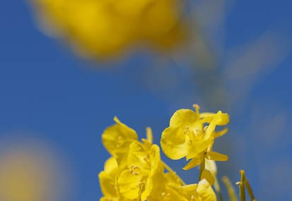 201102131059-DSC07506.jpg
