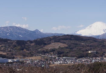 201102131126-DSC07584.jpg