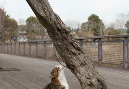 201102141404-DSC07874.jpg