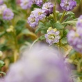 201102141503-DSC08034.jpg