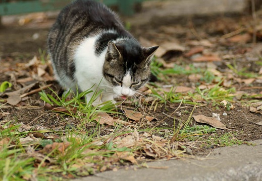 201102141521-DSC08086.jpg