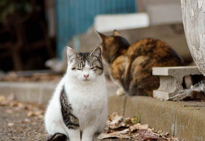 201102141523-DSC08101.jpg