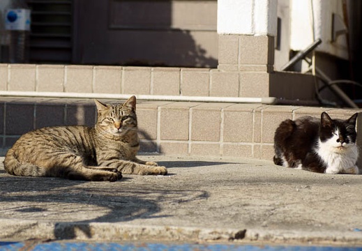 201102151503-DSC08259.jpg