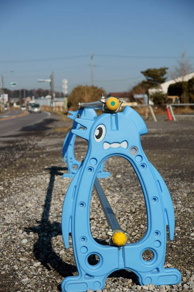 201102160854-DSC08438.jpg