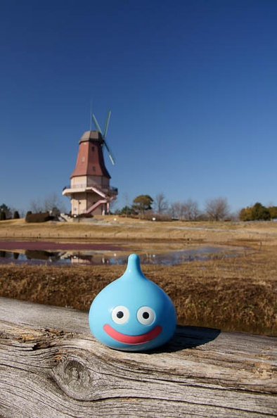 201102160959-DSC08520.jpg