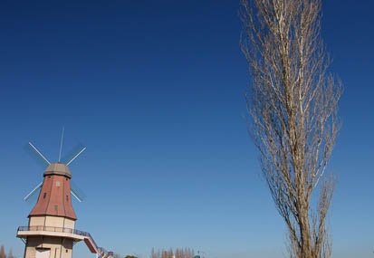 201102161016-DSC08568.jpg