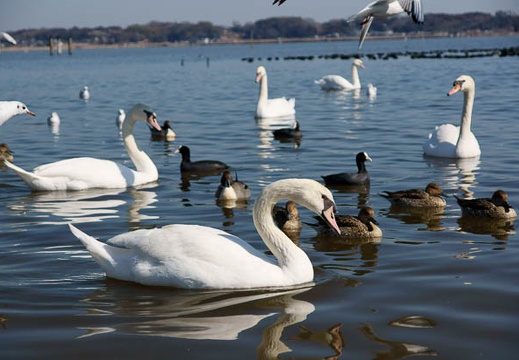 201102161124-DSC08743.jpg