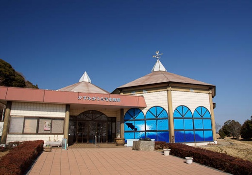 201102161259-DSC08839.jpg