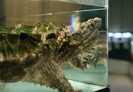 201102161309-DSC08874.jpg