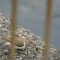 201102181423-DSC09361.jpg