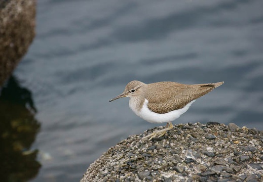 201102181425-DSC09376.jpg
