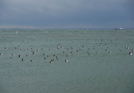 201102181459-DSC09509.jpg