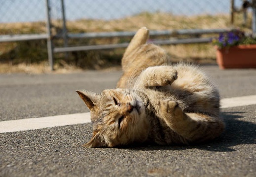 201102221102-DSC00367.jpg