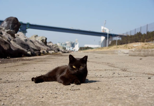201102221211-DSC00476.jpg
