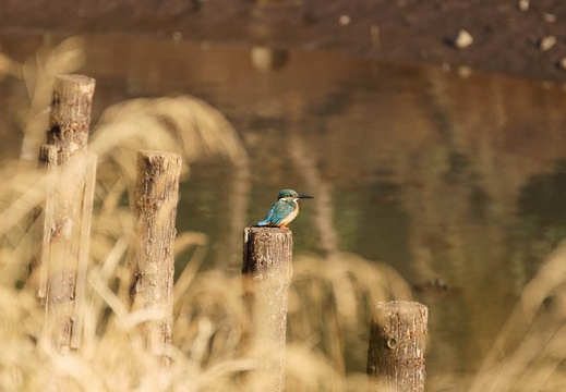 201102221517-DSC00623.jpg