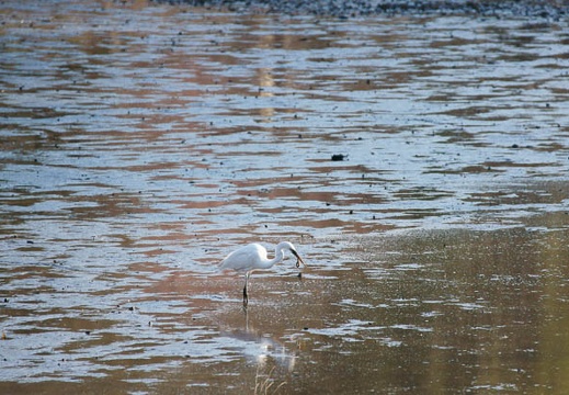 201102221522-DSC00651.jpg