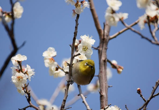 201102261111-DSC01019.jpg